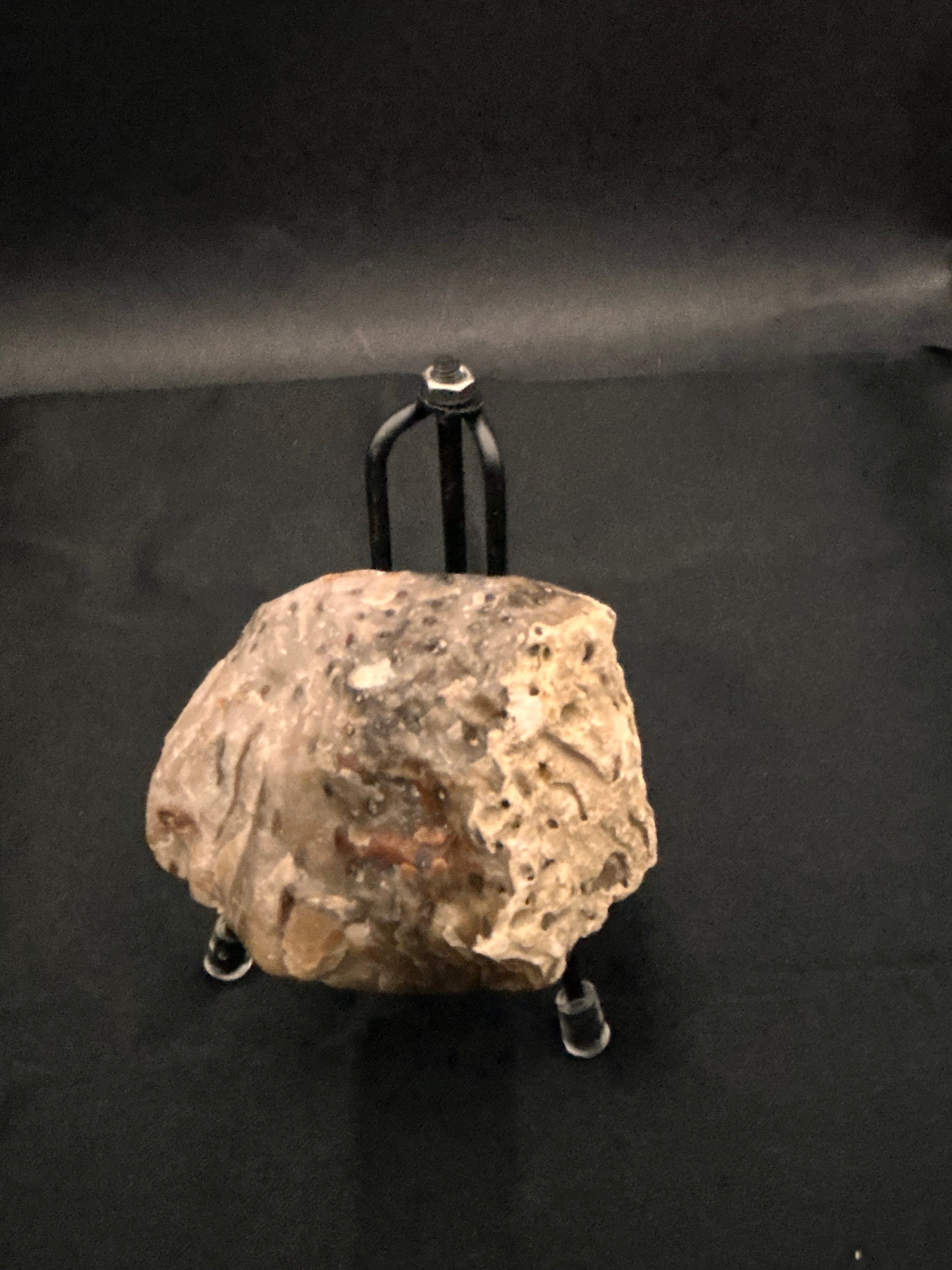 Marine Fossil Specimen
Weight: 6 oz