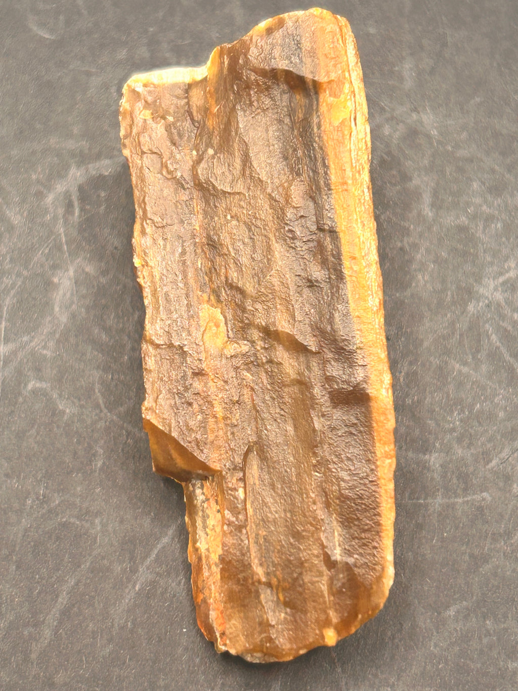 1.3-ounce petrified wood