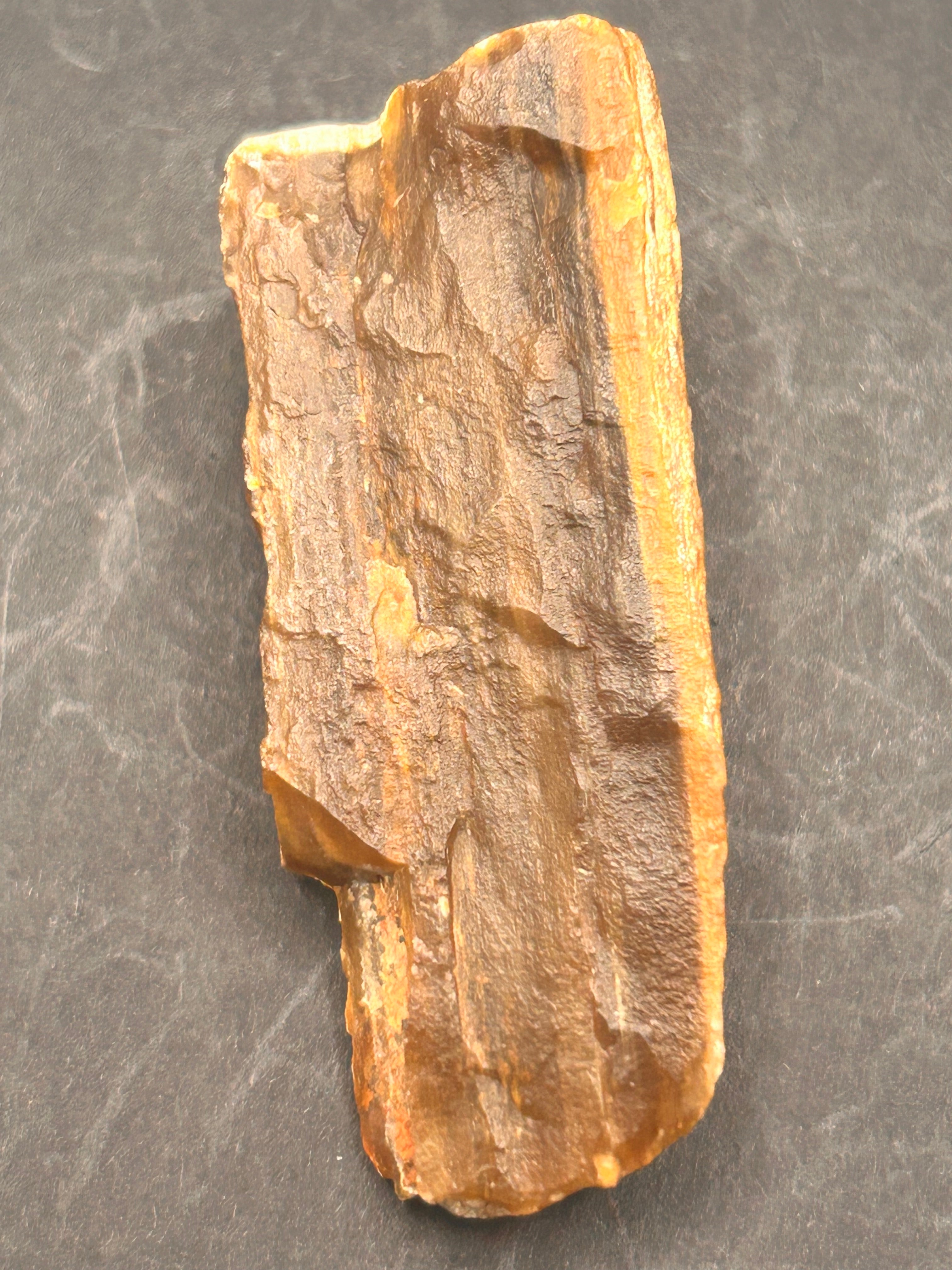 1.3-ounce petrified wood