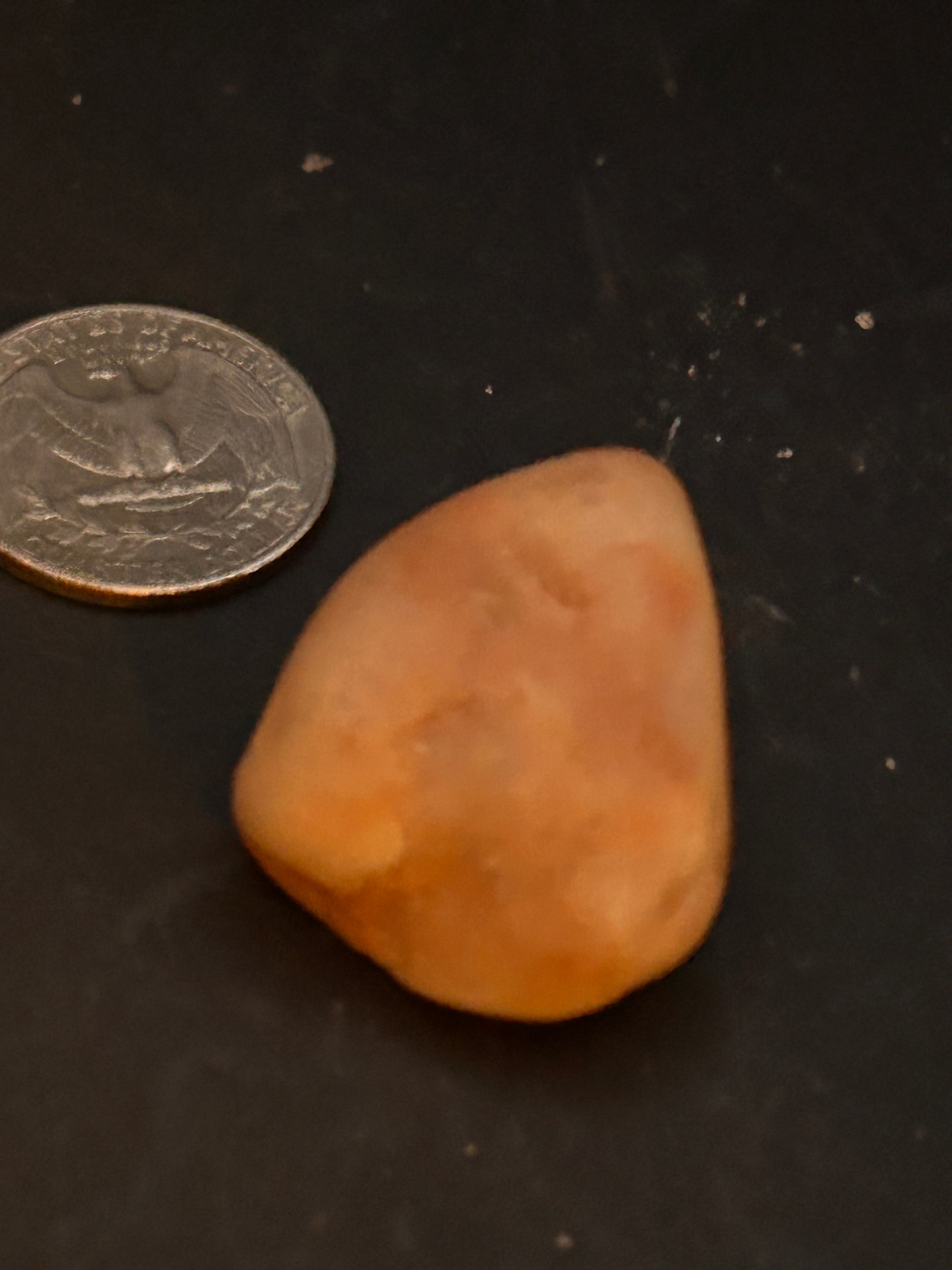 ✨ “THE SUNSET SEED”

(Peach Chalcedony – 0.75 oz)