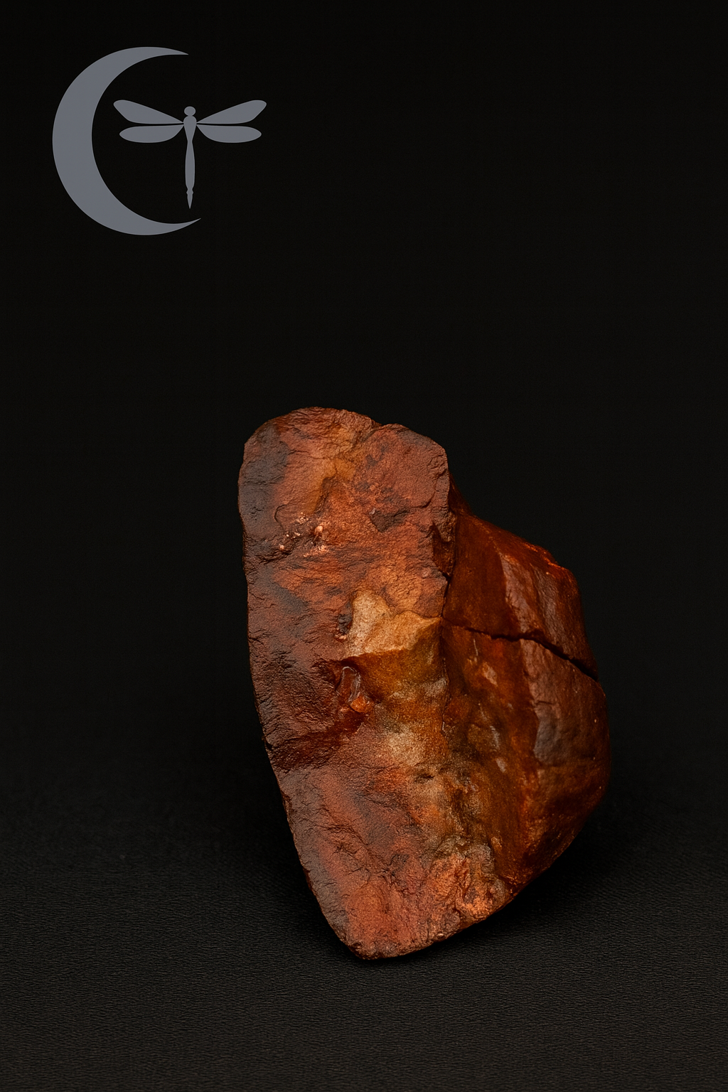 A COAL FROM THE ANCIENT FIRE

Material: Petrified Jasper with Hematite Influence

Weight: 1.12 ounces
