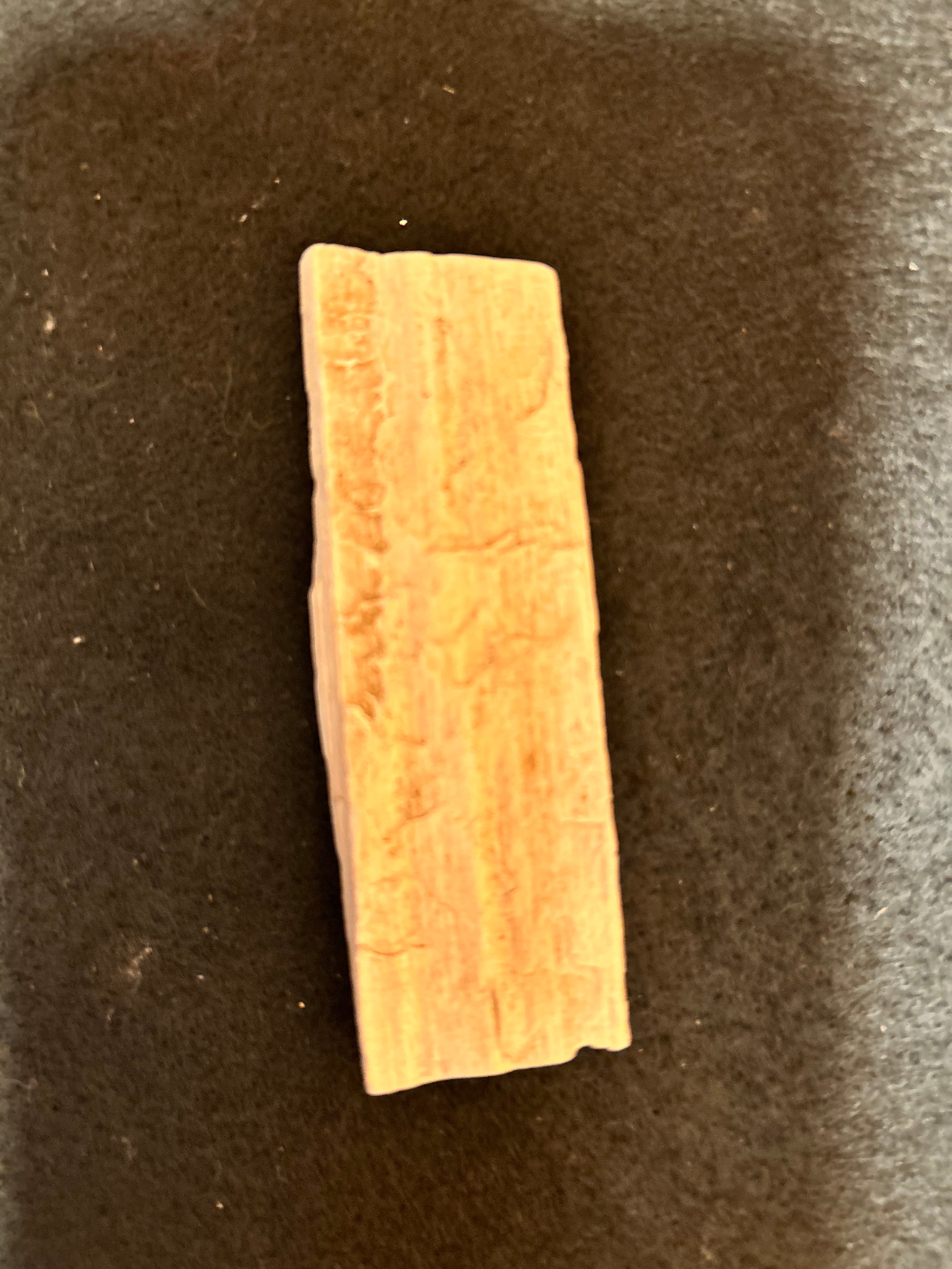 Whisperwood:  Petrified Wood