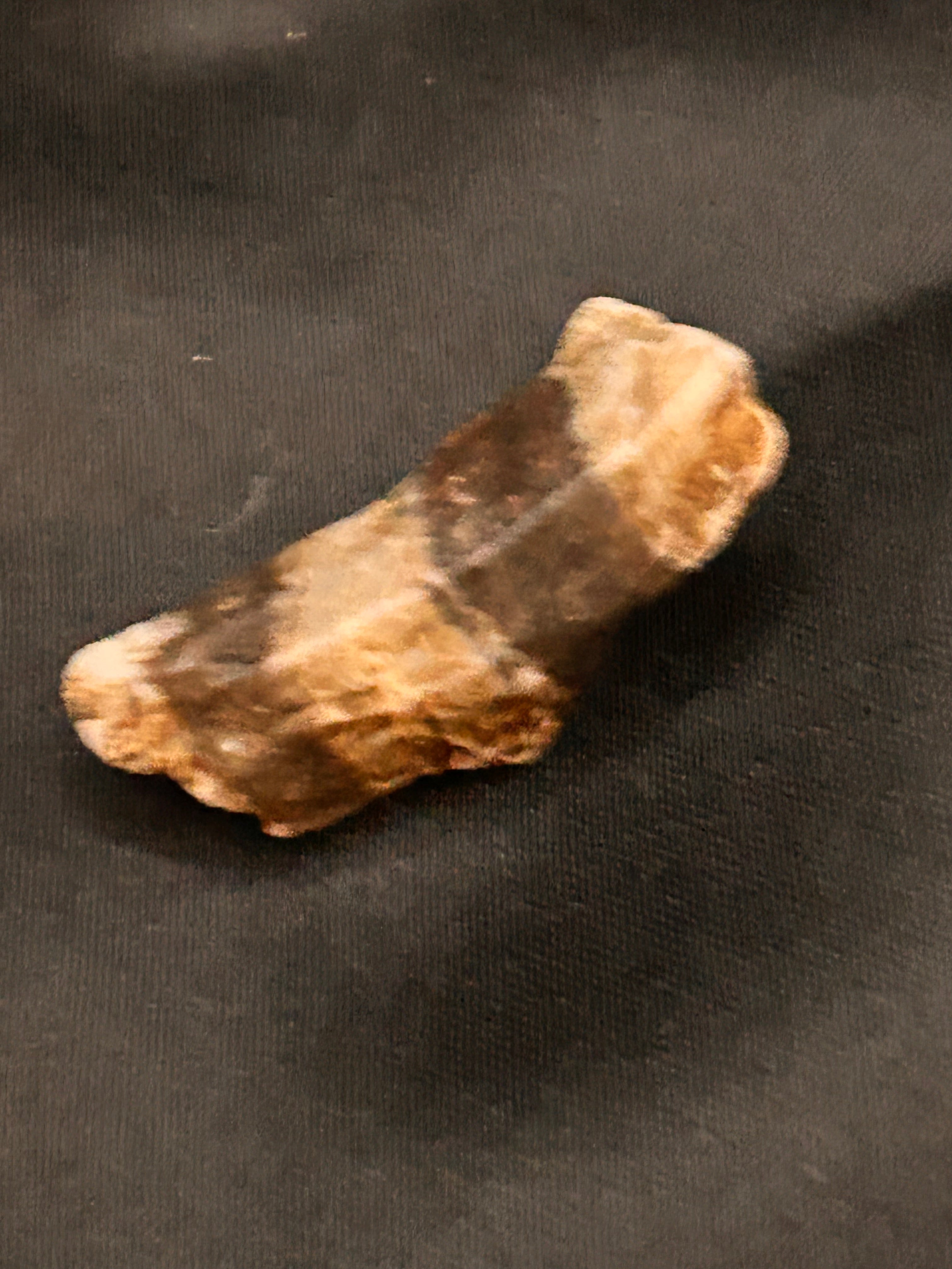 Petrified Wood & Jasper – The Flamebent Fragment Weight: .62 ounce