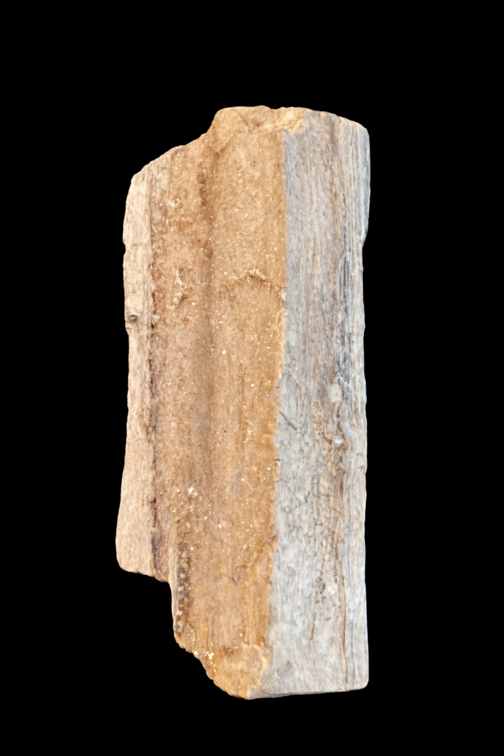 Silicified Petrified Wood with Natural Quartz Sparkle – Gulf Coast Origin (7.769 oz)