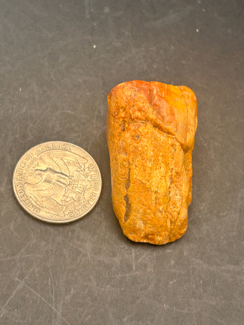 Amberroot Emberstone (1.05 oz) is a vivid fragment of petrified, jasperized wood