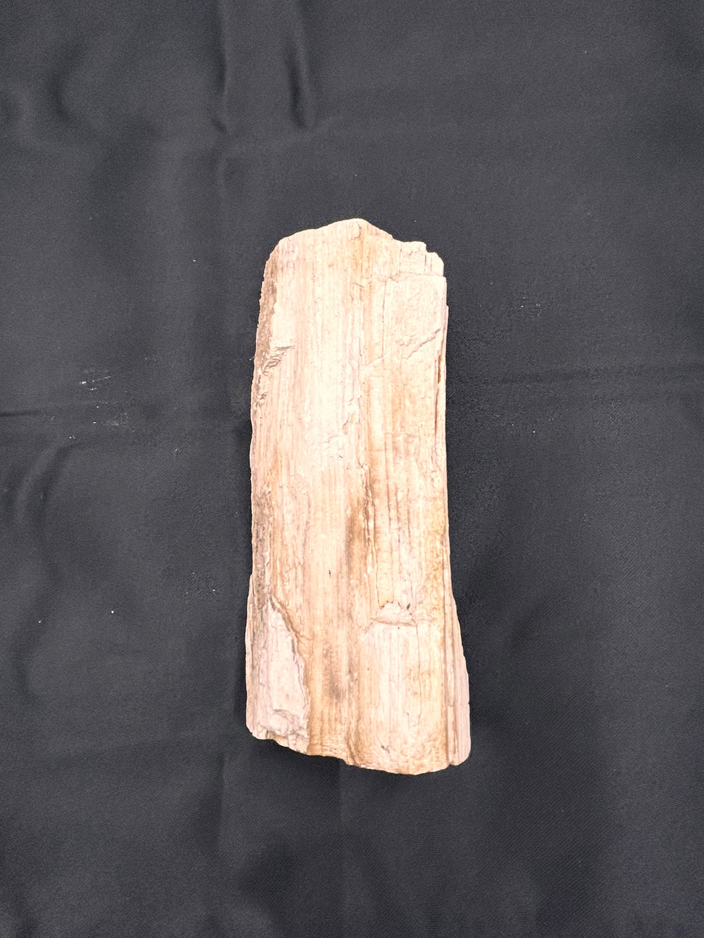 Whisperwood with Satin Spar – Ancient Petrified Wisdom