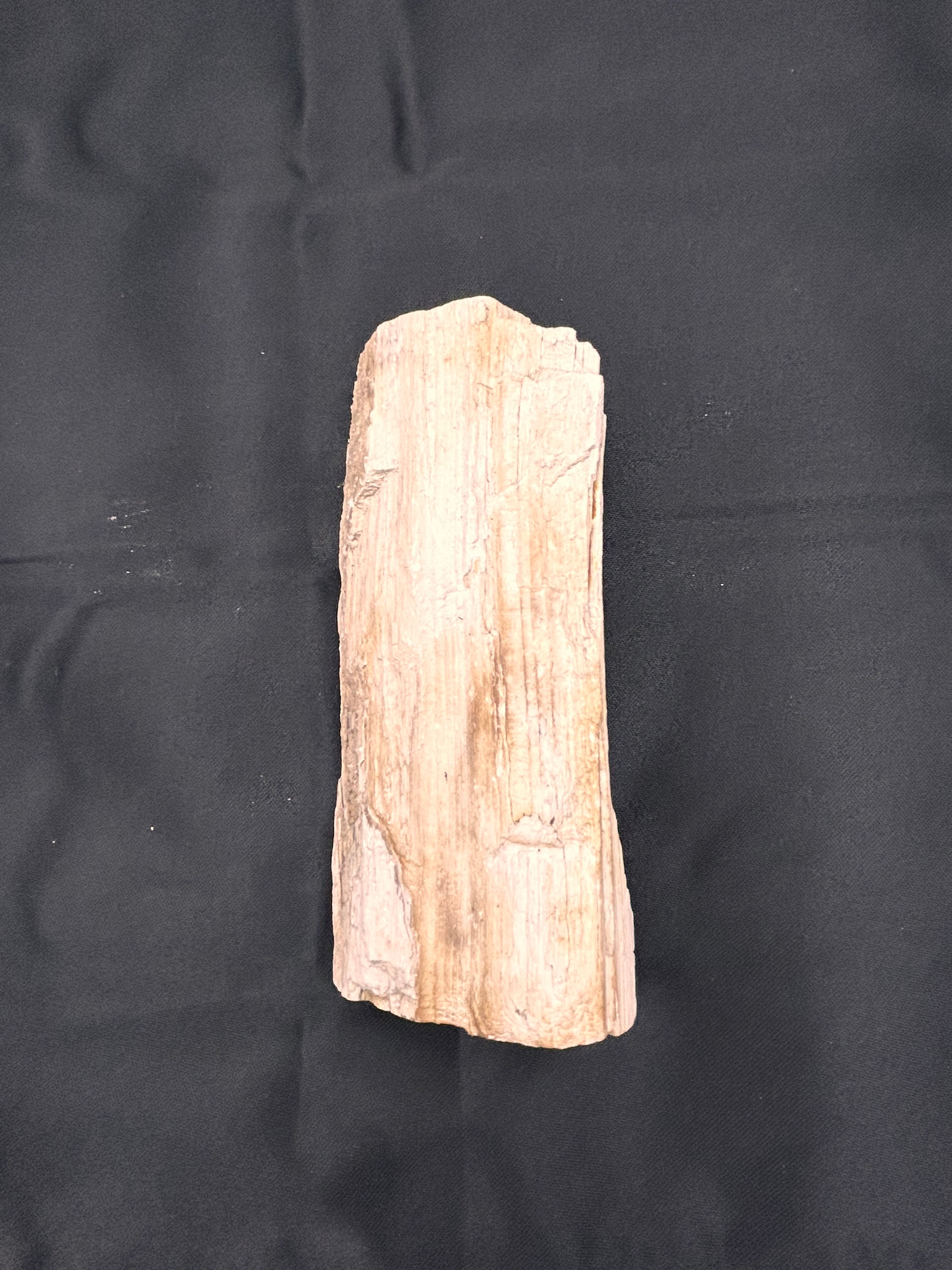 Whisperwood with Satin Spar – Ancient Petrified Wisdom