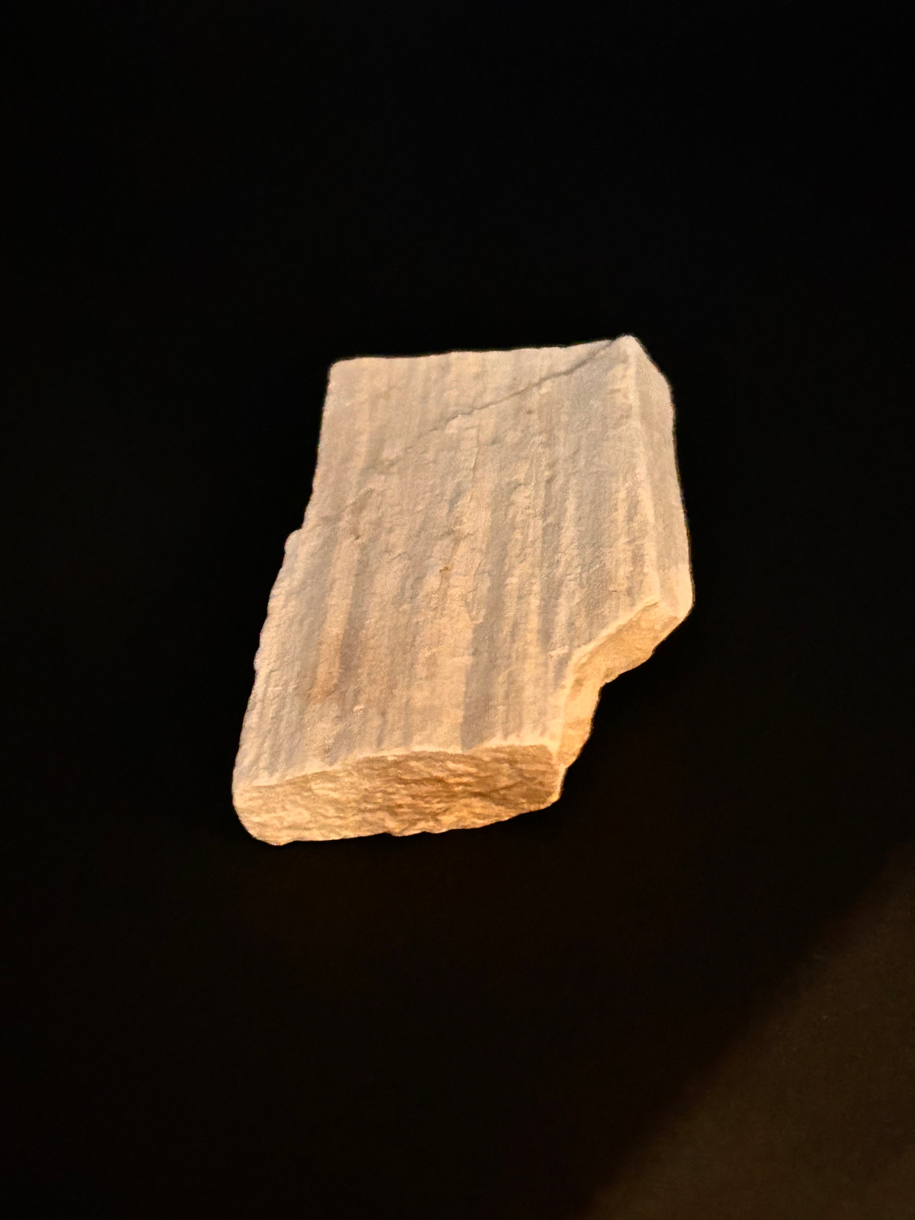Whisperwood:  Petrified Wood