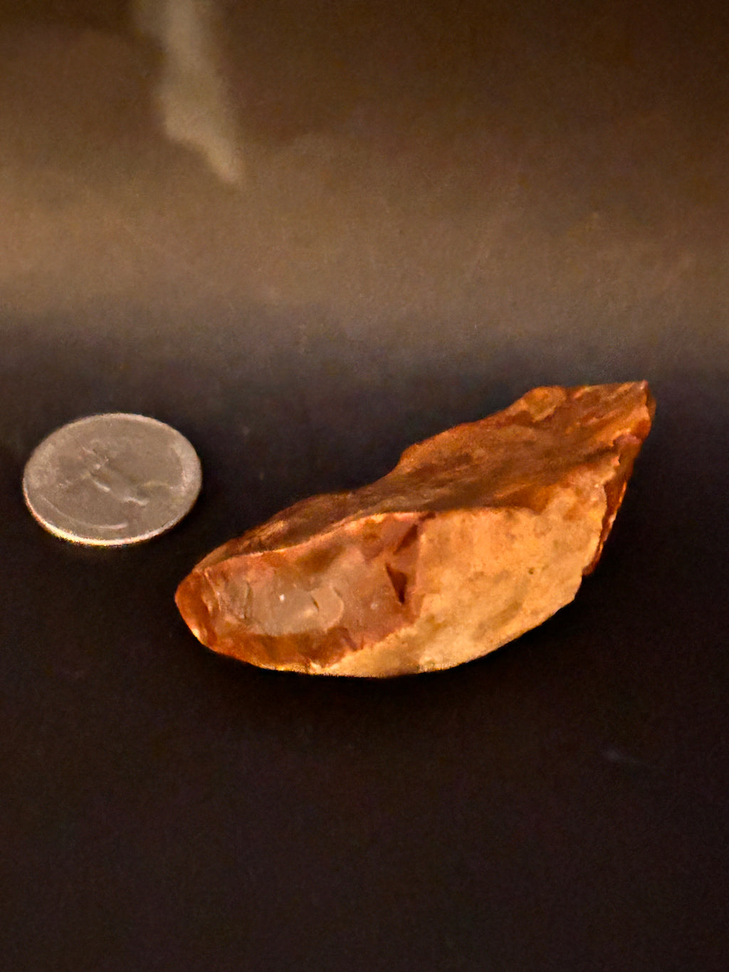 Petrified Jasper With Quartz Chalcedony Veining