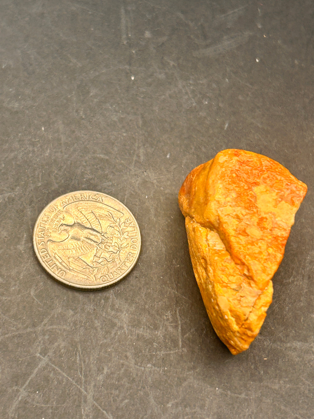Amberroot Emberstone (1.05 oz) is a vivid fragment of petrified, jasperized wood