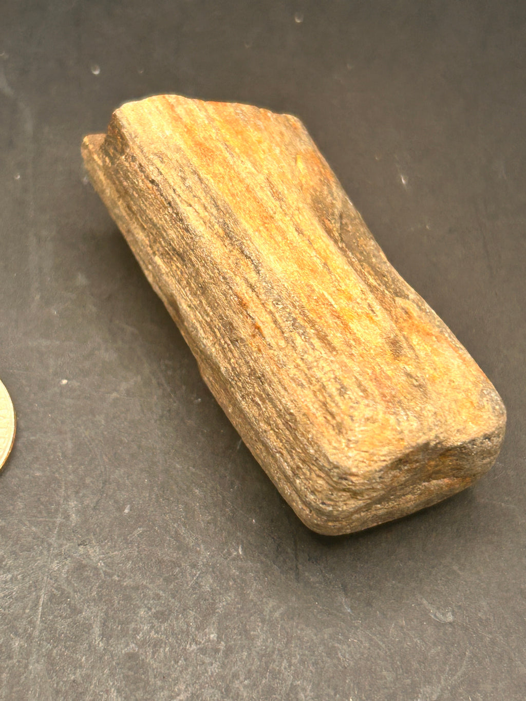 “Fossilwood Sentinel of Avrilis” — Petrified Jasper, 2.61 oz