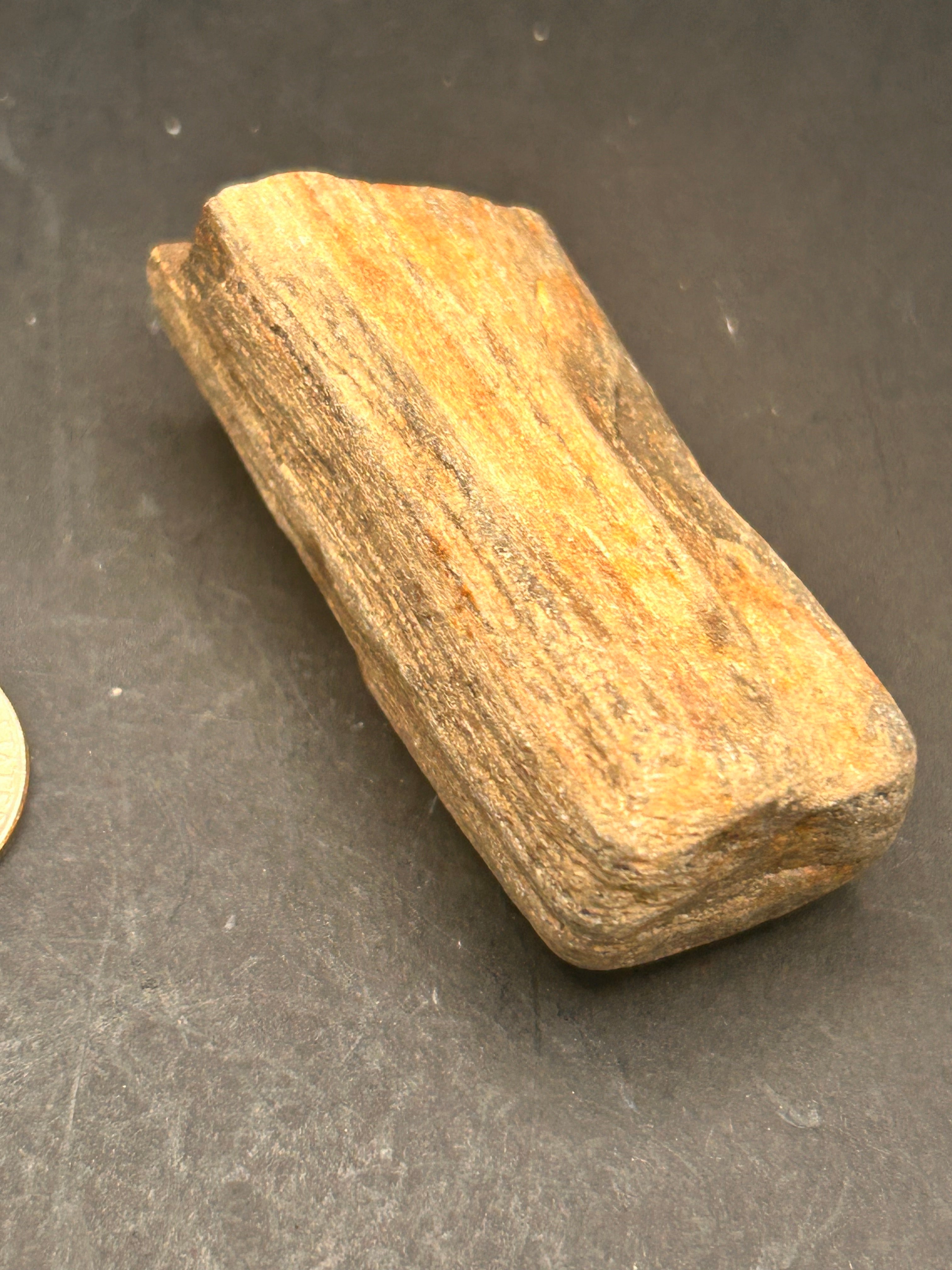 “Fossilwood Sentinel of Avrilis” — Petrified Jasper, 2.61 oz