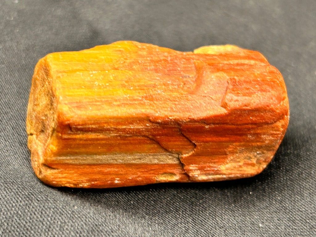 🔥 THE EMBERSTONE RELIC — Jasperized Petrified Wood with Micro Quartz