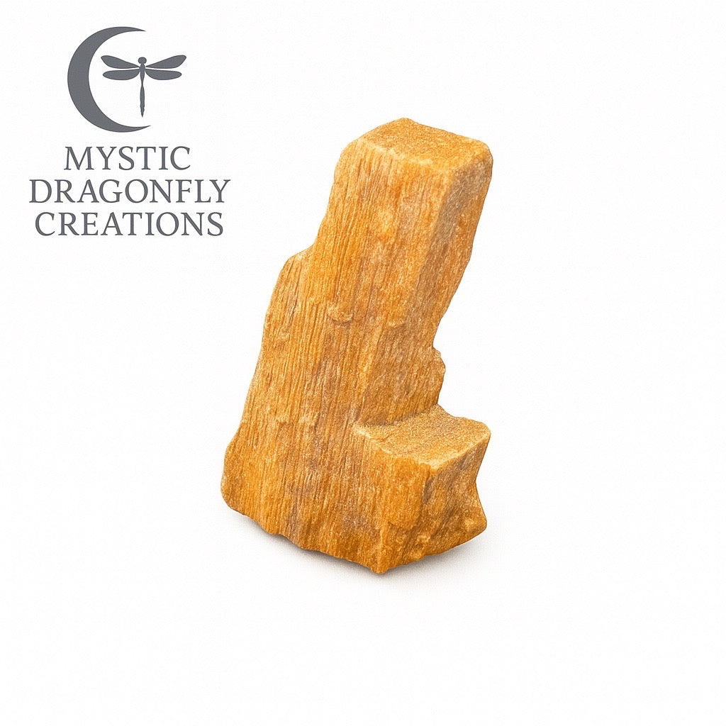 THE SUNLIT SENTINEL — Portal Collection

1.83 ounces • Petrified Wood