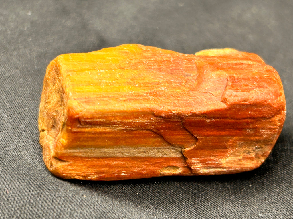 🔥 THE EMBERSTONE RELIC — Jasperized Petrified Wood with Micro Quartz