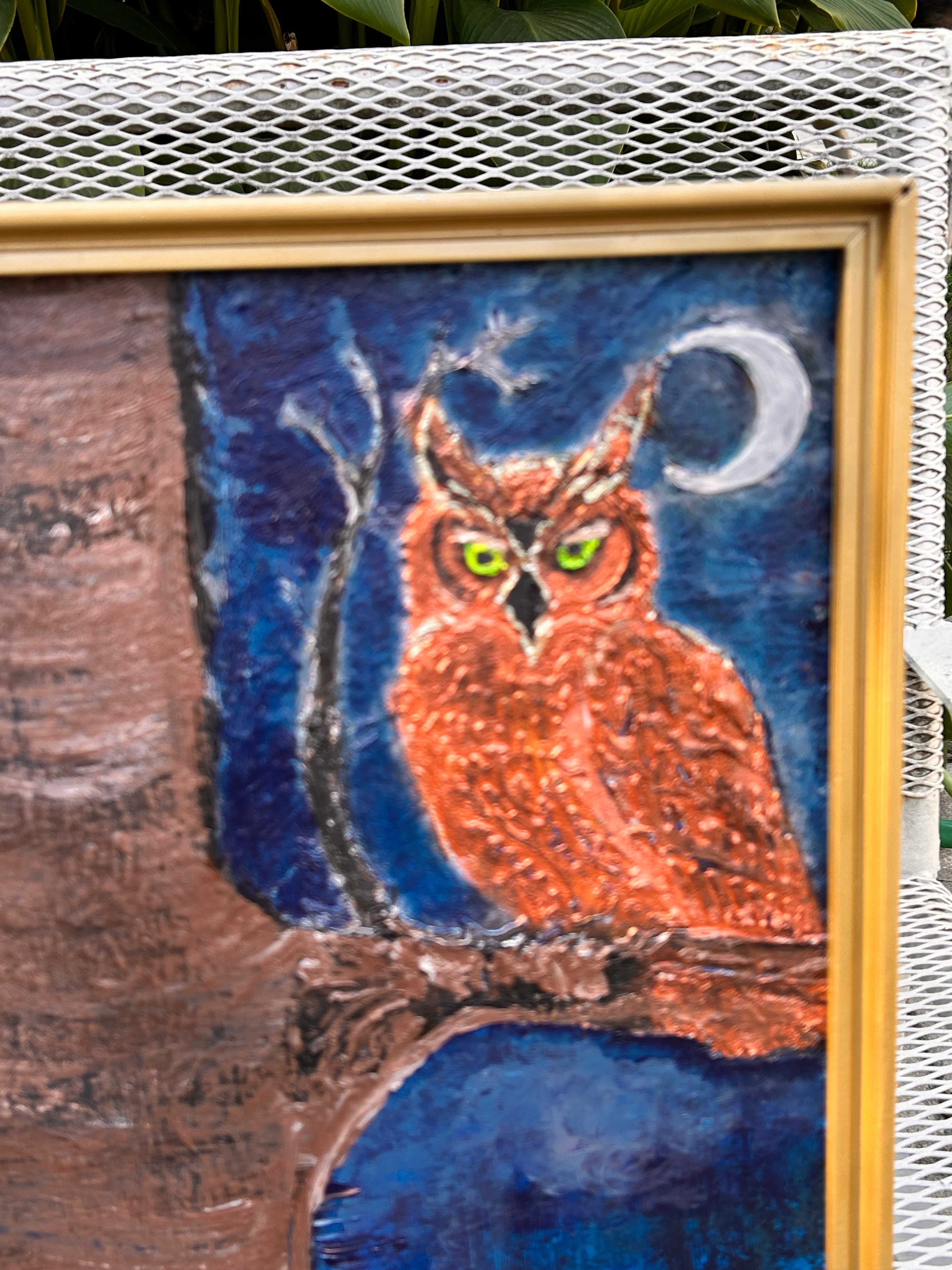 The Owl and The Dragonfly
