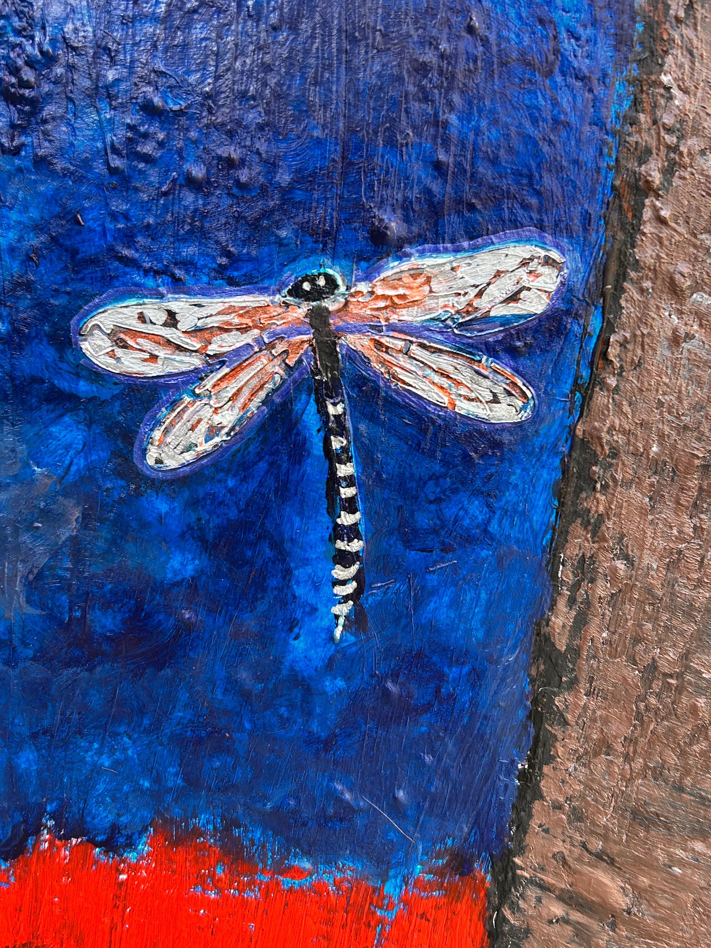 The Owl and The Dragonfly