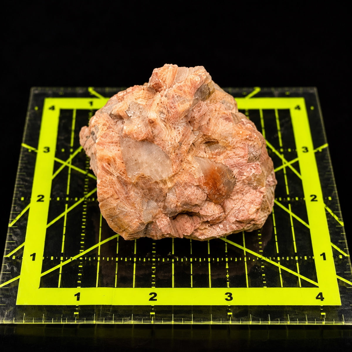 DP-PEG-01 photographed against four-inch measuring grid