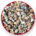 The $2 Portal Box — assorted unidentified natural finds