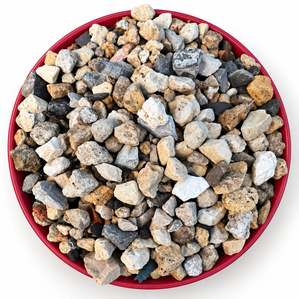 The $2 Portal Box — assorted unidentified natural finds